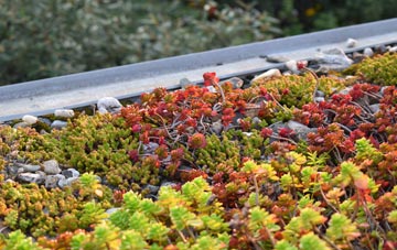 the cost of Orchard Portman green roof installation