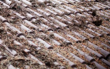 Orchard Portman roof cleaning companies