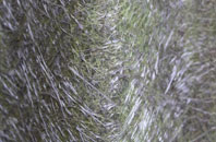 Orchard Portman fibreglass roof work